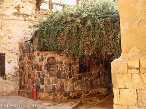 Burning Bush at St. Catherine's