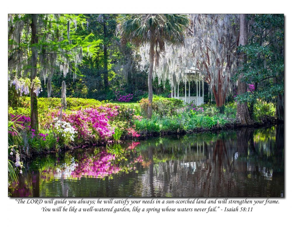 Sermon “A Watered Garden”. Trinity Church, Newport, Rhode Island. Sunday August 21 2016. The Reverend Alan Neale