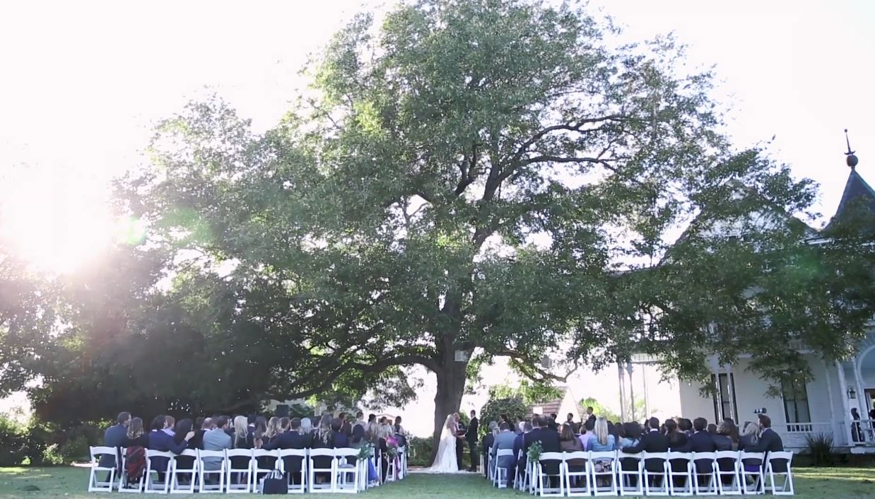 A truly glorious video of a wedding in Austin, TX under a pecan tree with a choir of birds!