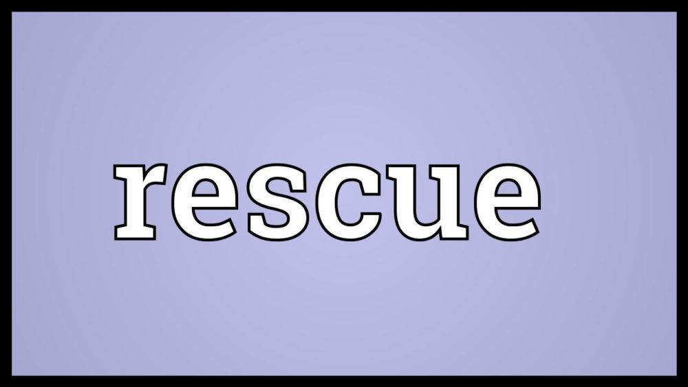 “To The Rescue” Sunday April 26 2020. Alan Neale. Trinity Church, Newport RI