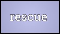 “To The Rescue” Sunday April 26 2020. Alan Neale. Trinity Church, Newport RI