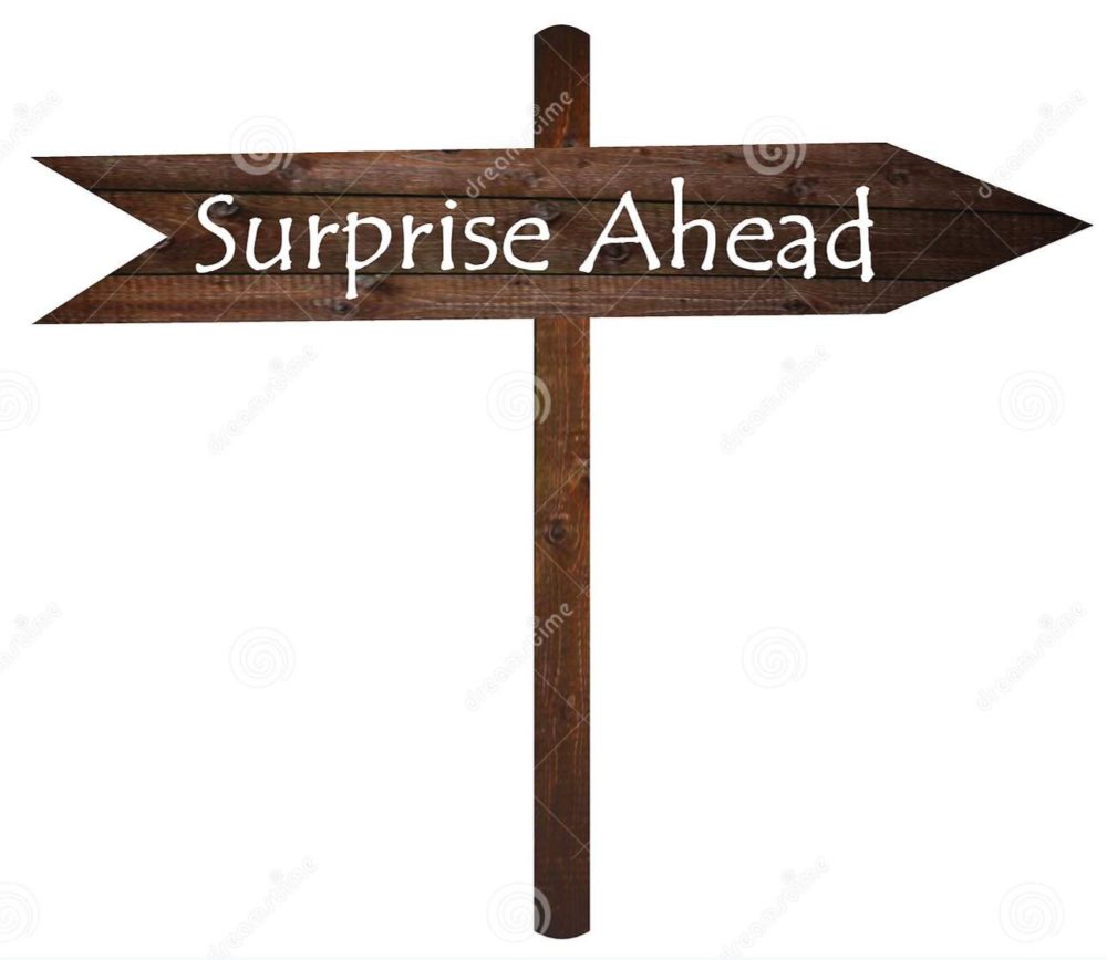 Lenten Reflection #7 “Surprise” St. Stephen’s Episcopal Church, Goldsboro, NC. Monday February 23, 2021. The Reverend Alan Neale