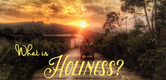 Sermon “What Is Holiness?”. Sunday November 5, 2023. Zion Episcopal Church, Washington, NC. The Reverend Alan Neale